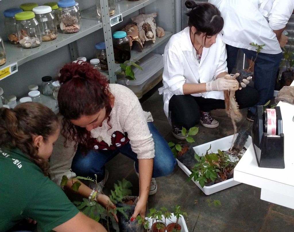 Ciências Biológicas 2 cbiologicas11
