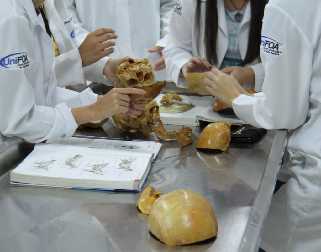 Medicina 5 medicina 4