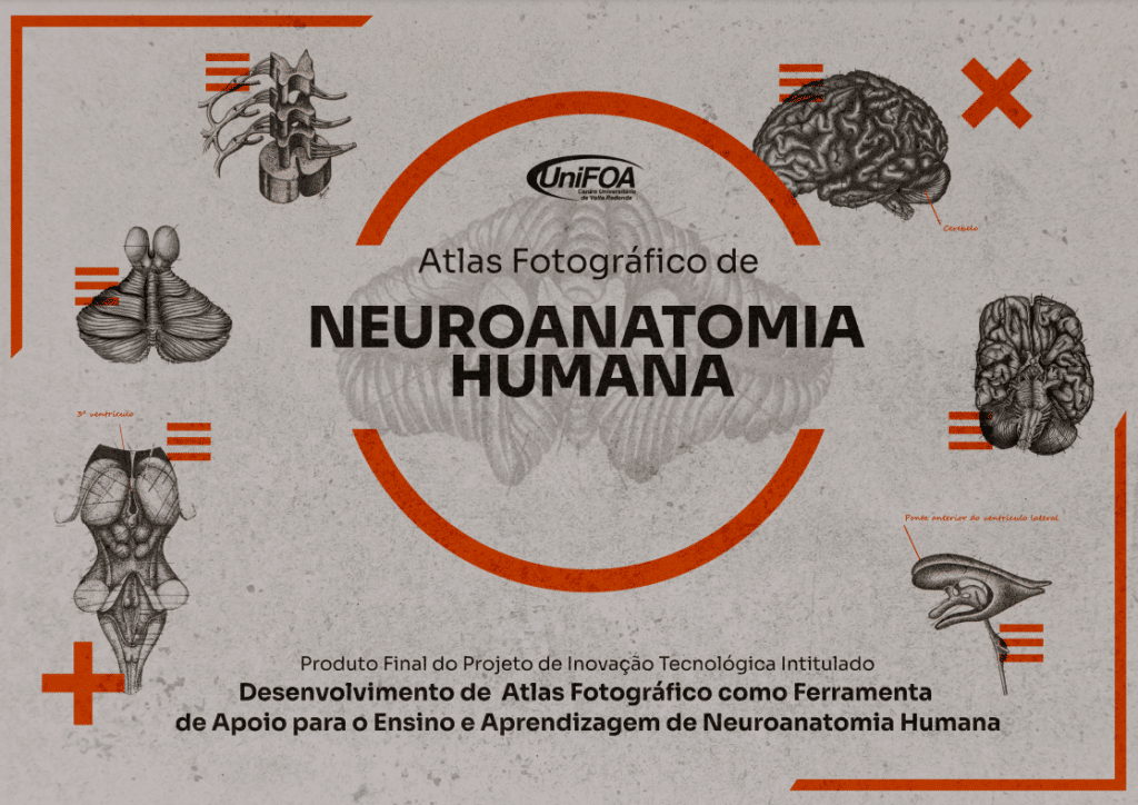 Alunos de Medicina criam Atlas de Neuroanatomia Humana  
