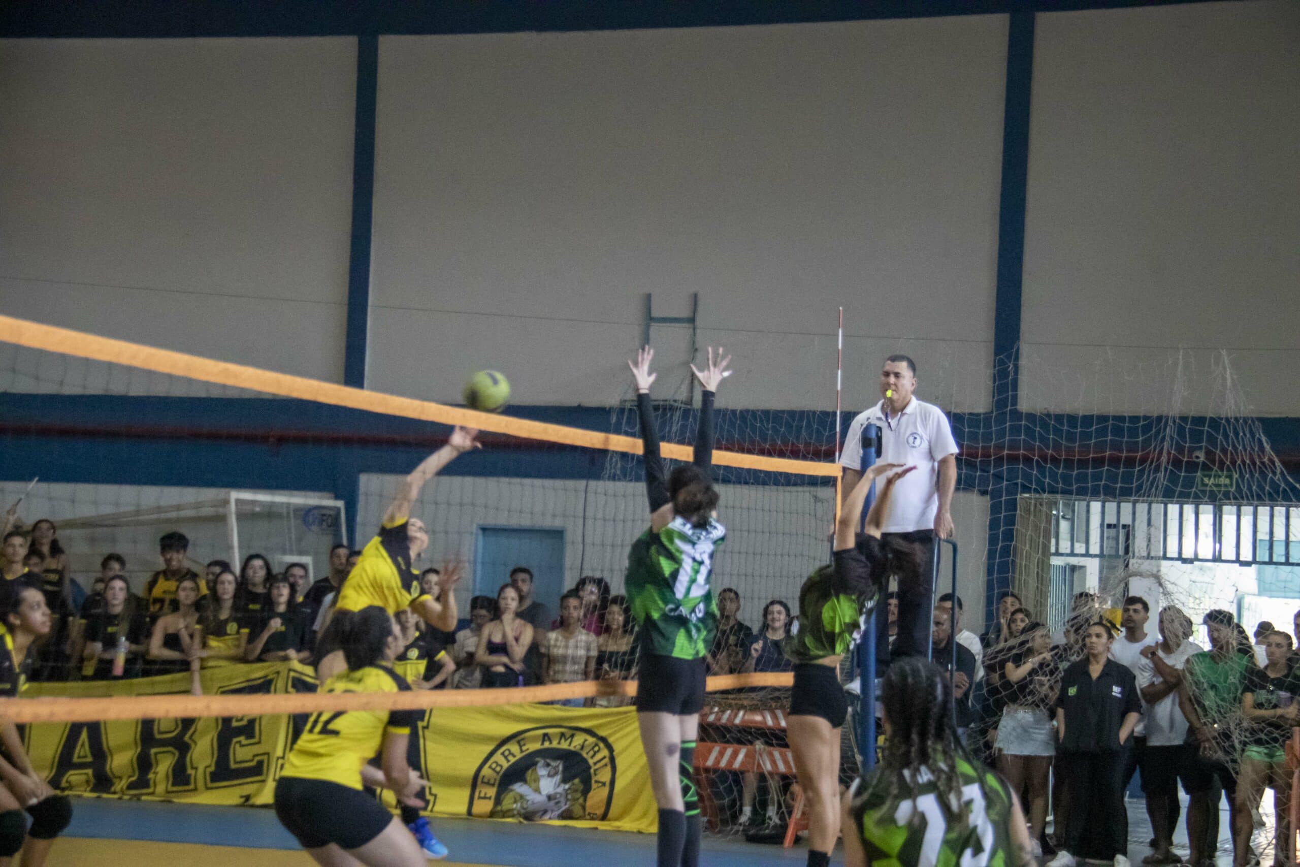 interfoa